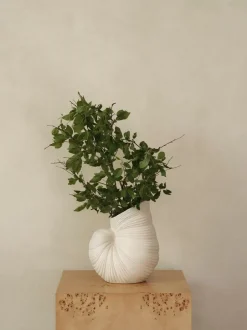 Shell Vase