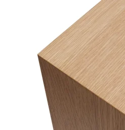 Shoji Cabinet