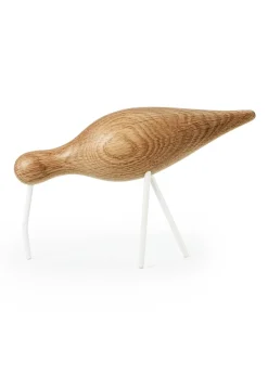 Shorebird