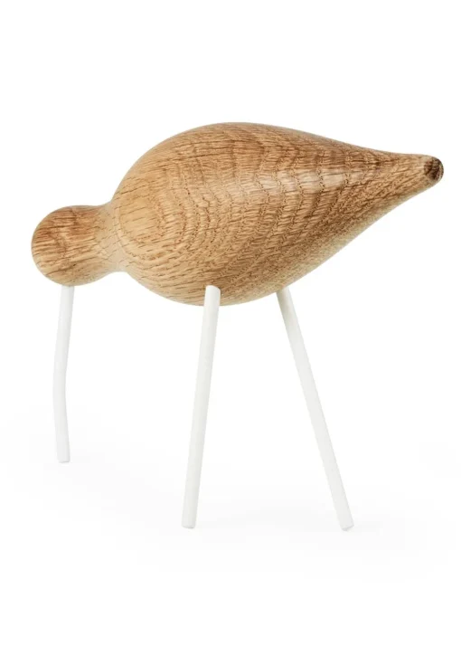 Shorebird