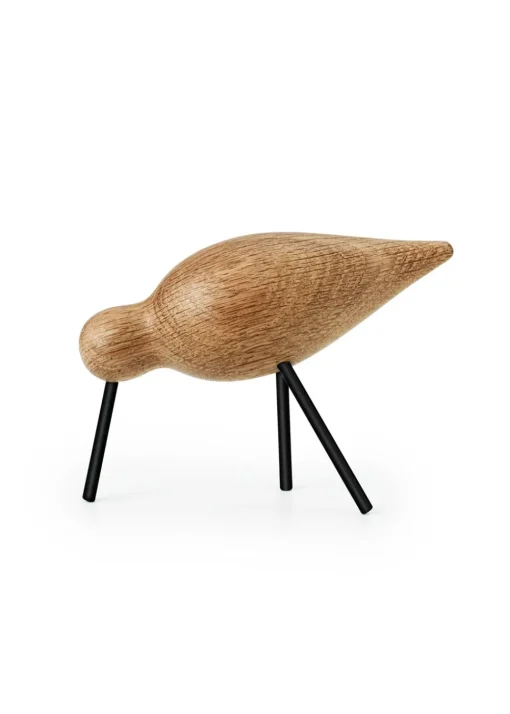 Shorebird