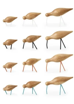 Shorebird