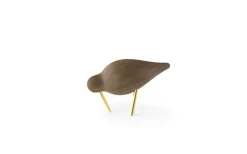 Shorebird