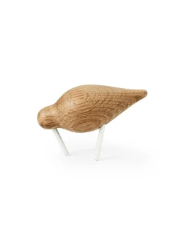Shorebird