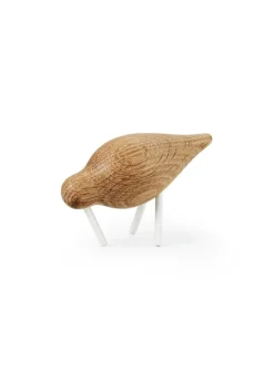 Shorebird