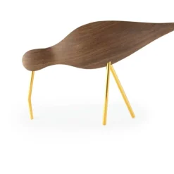 Shorebird