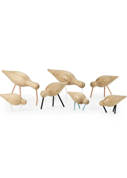 Shorebird