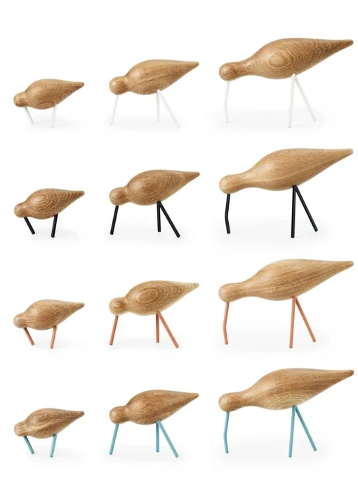 Shorebird