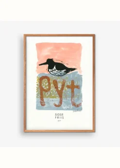 Sidse Friis