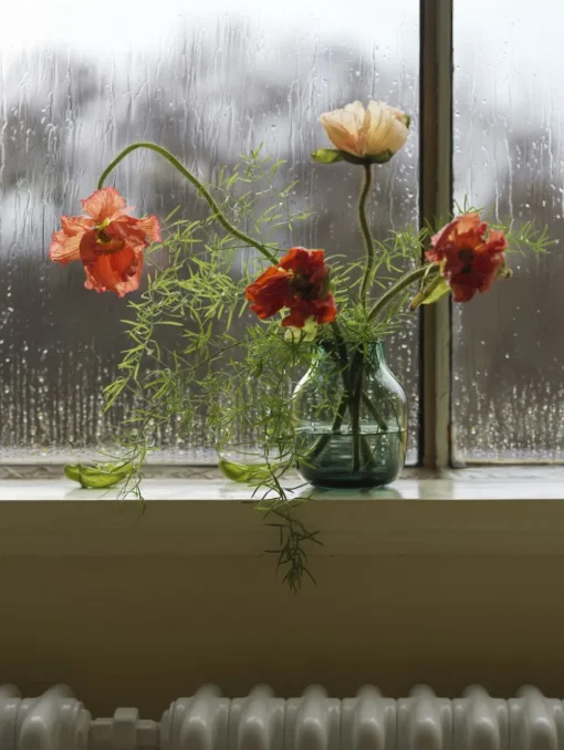 Silent Vase