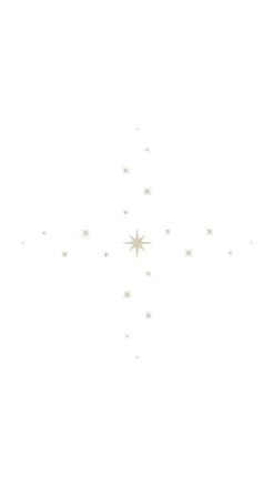 Silver Star Tablecloth