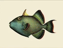 Small Fish Goes Bigger #4008