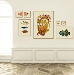 Small Fish Goes Bigger #4008