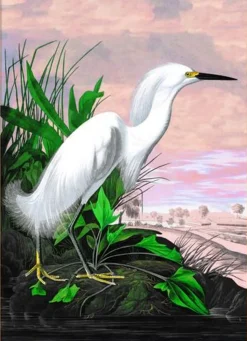 Snowy Heron Remixed #6402
