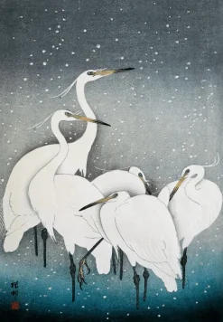 Snowy Herons #4830