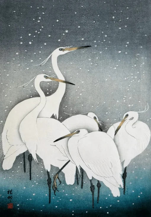 Snowy Herons #4830