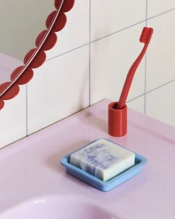 Soap Dish