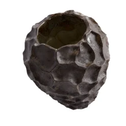 Soil