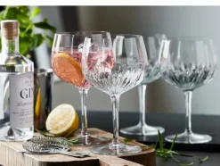 Spanish Gin & Tonic Glass