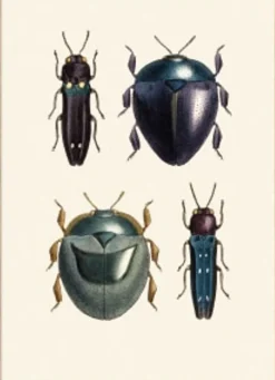 Special bugs #5410