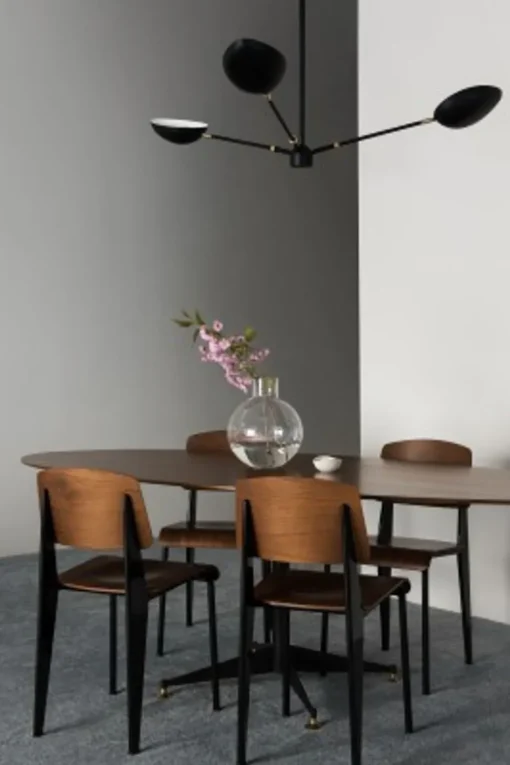 Spoon Ceiling Pendant