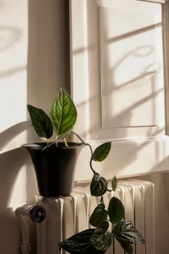 Spun Alu Pot