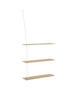 Stedge shelf anniversary