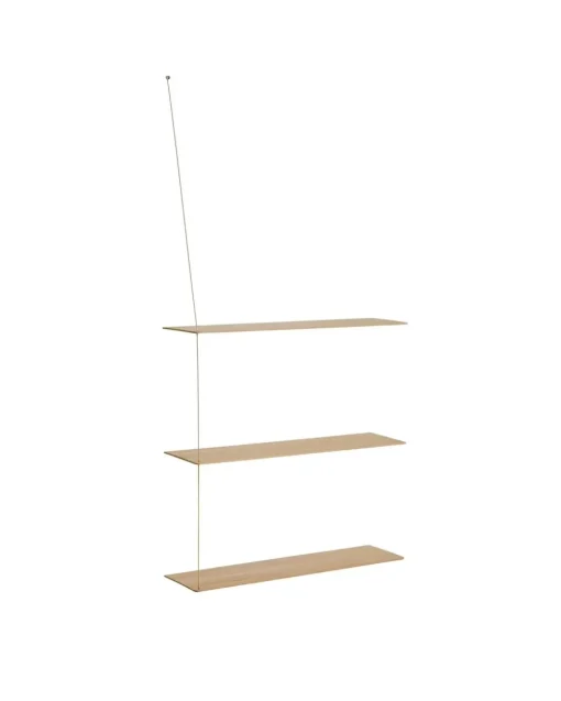 Stedge shelf anniversary