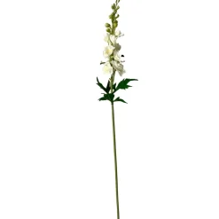 Stems