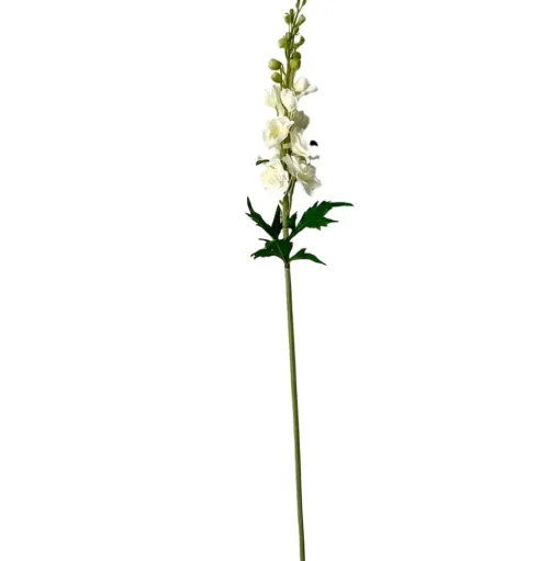 Stems