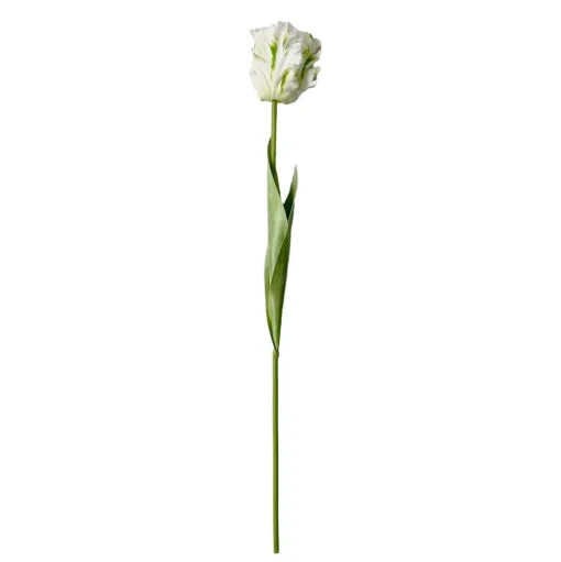 Stems