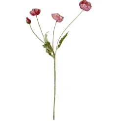 Stems