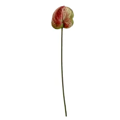 Stems