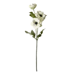 Stems