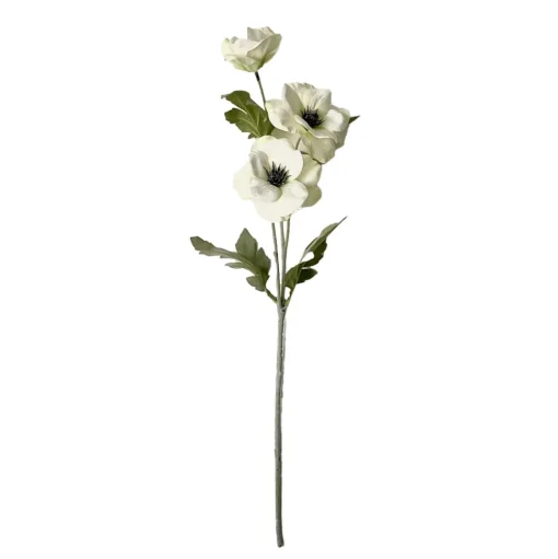 Stems