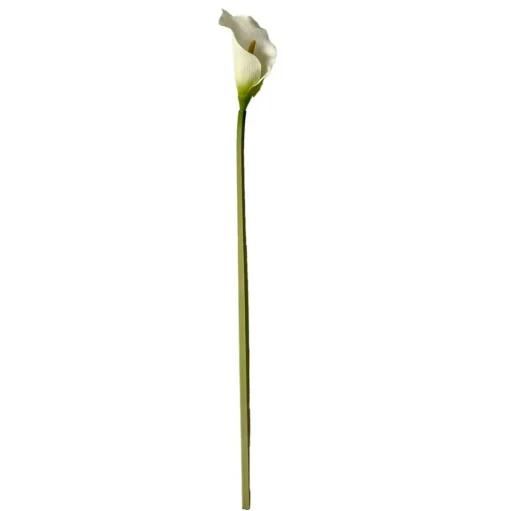 Stems
