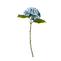 Stems