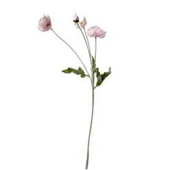 Stems