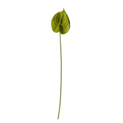 Stems