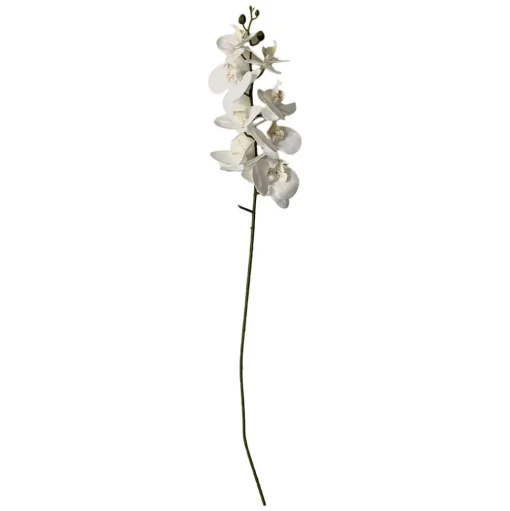 Stems