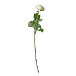 Stems