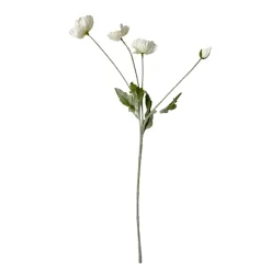 Stems