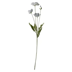 Stems