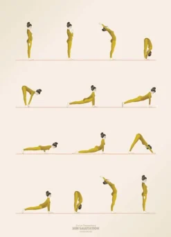 Sun Salutation