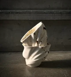 Swan Cup