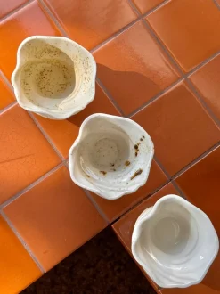 Swan Cup