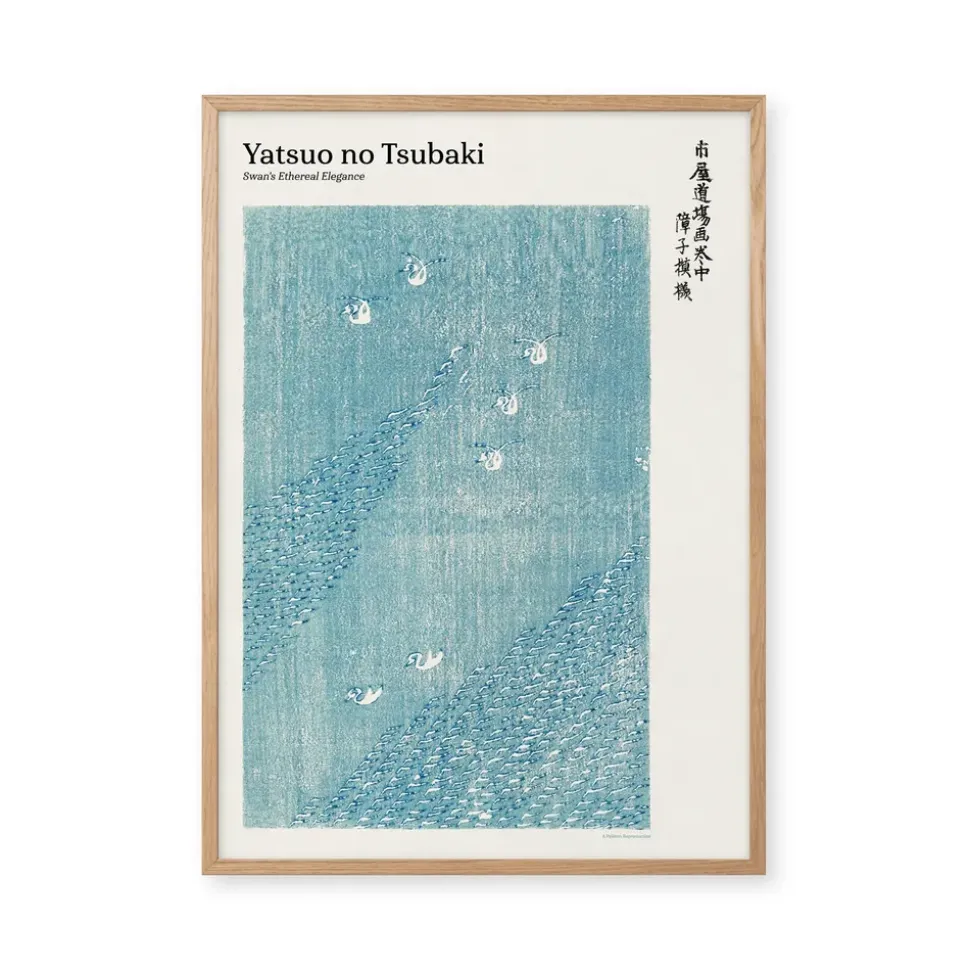 Swan's Ethereal Elegance