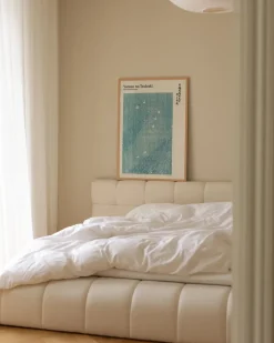 Swan's Ethereal Elegance