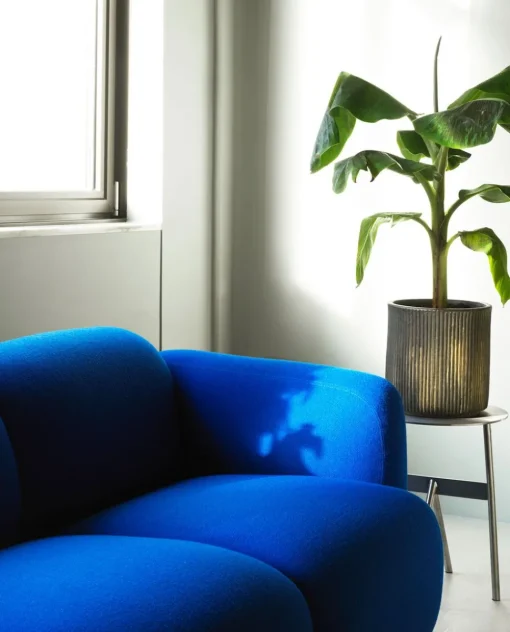 Swell Sofa 2-Seater
