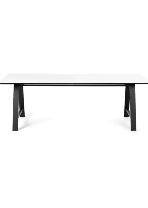 T1 - Extension Table
